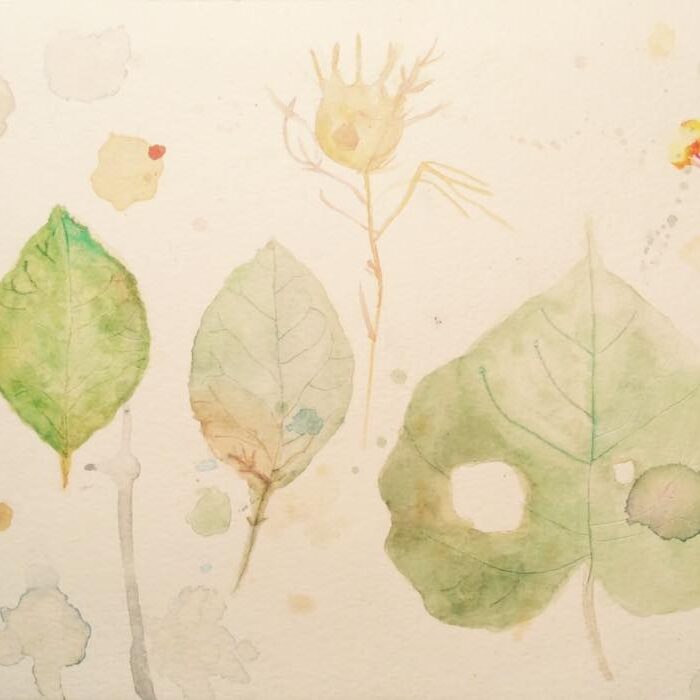 Immagine di Maria Teresa De Palma.