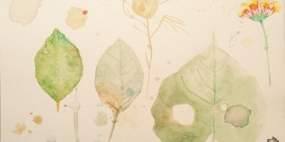 Immagine di Maria Teresa De Palma.